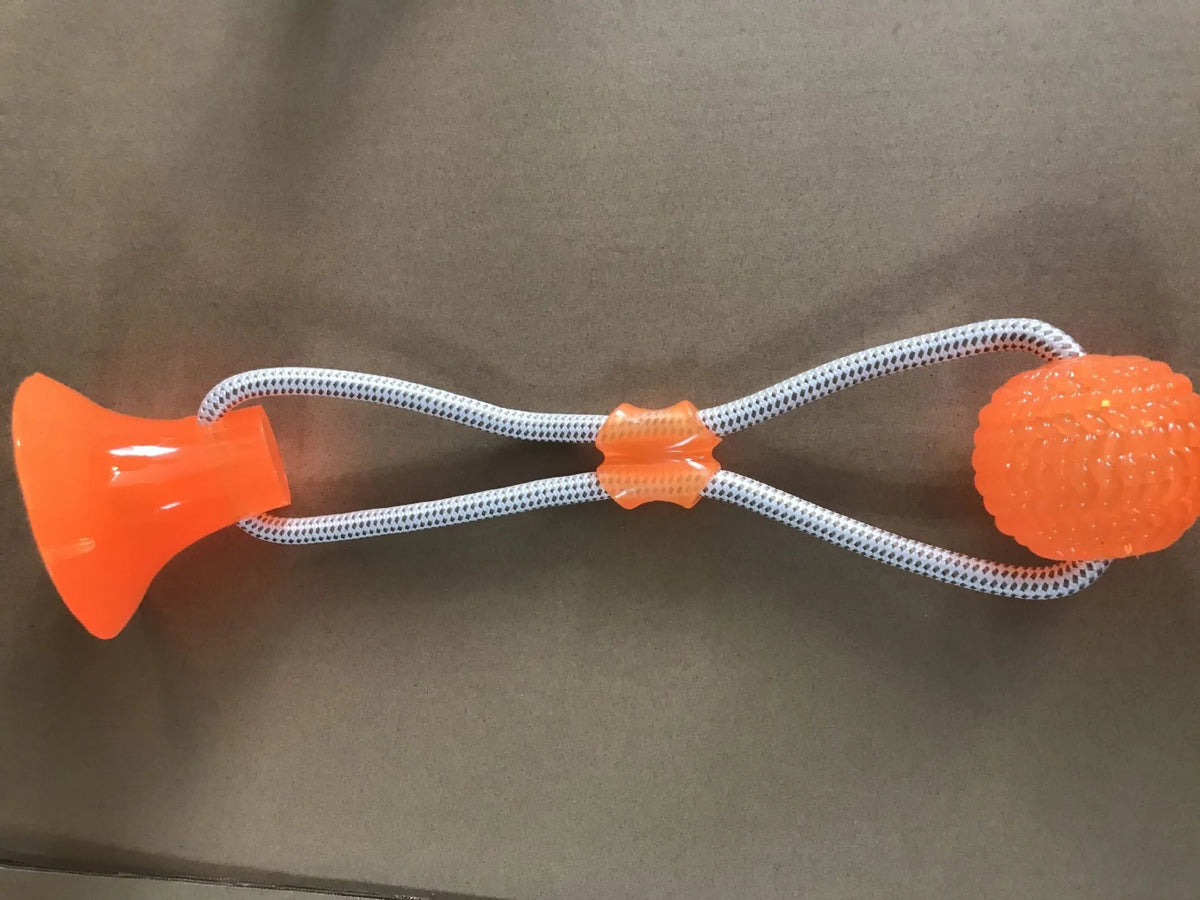 Pet dog rubber sucker molar toy in red colour on smooth surface