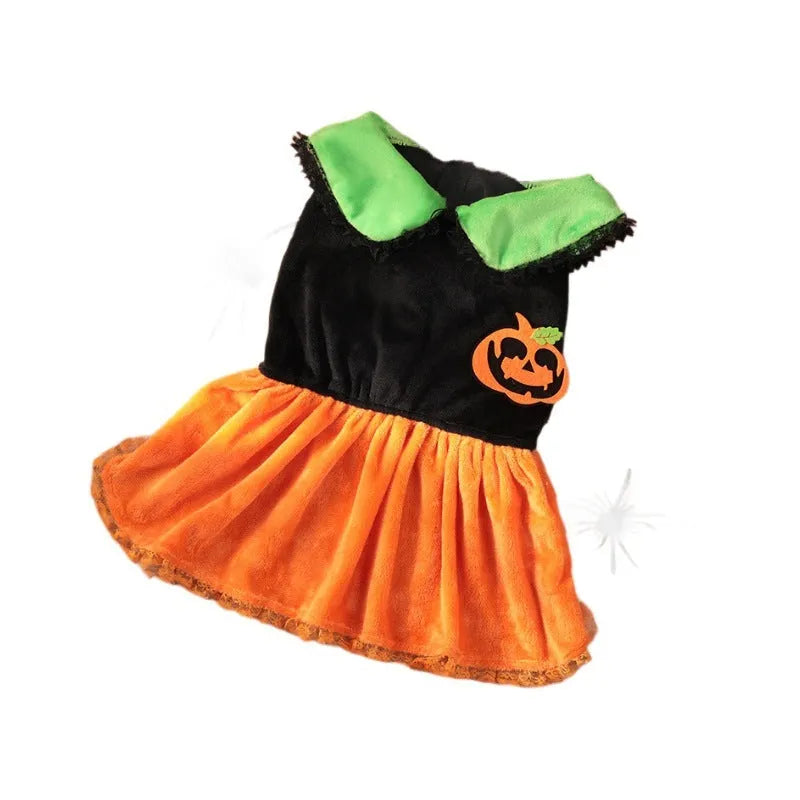 Small dog wearing a crystal velvet Halloween pumpkin skirt costume next to a Halloween sweater pet outfit.