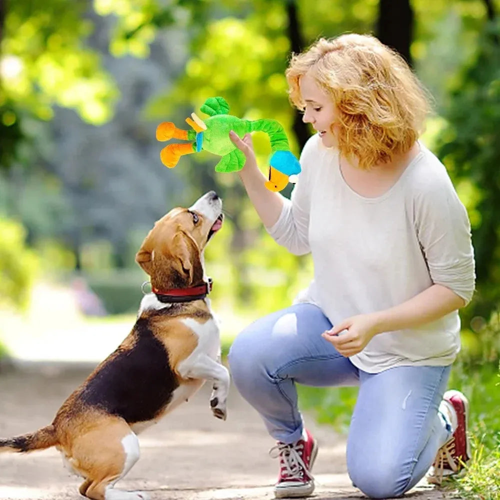 Screaming chicken sound dog chew toy in rubber material showing black, green and orange colour options