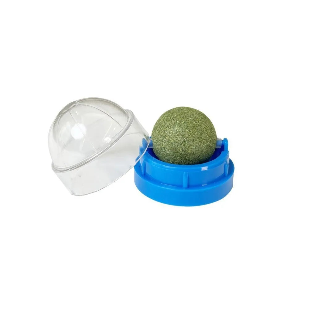 Plastic catnip ball toy in various colours with textured surface for molar teeth cleaning
