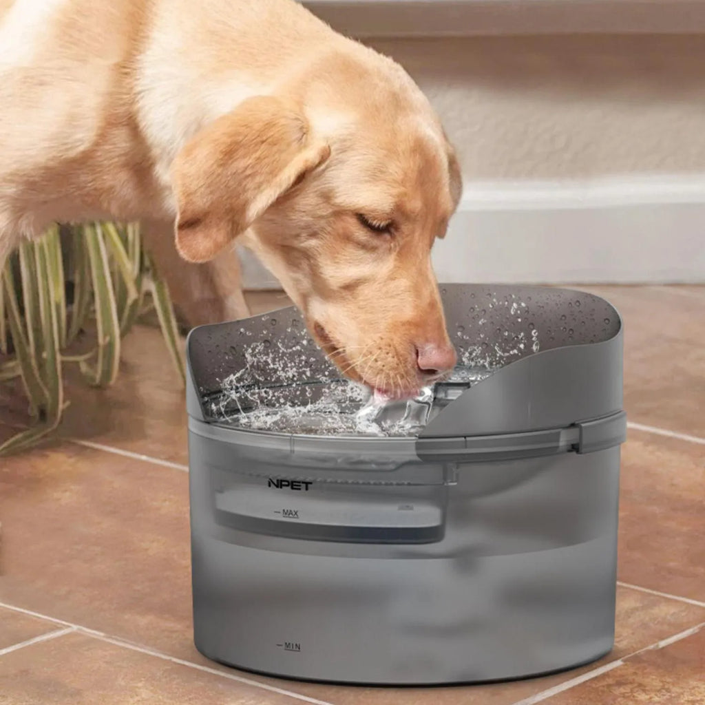 Automatic pet water dispenser with circulating system for cats and dogs, includes filter cartridges