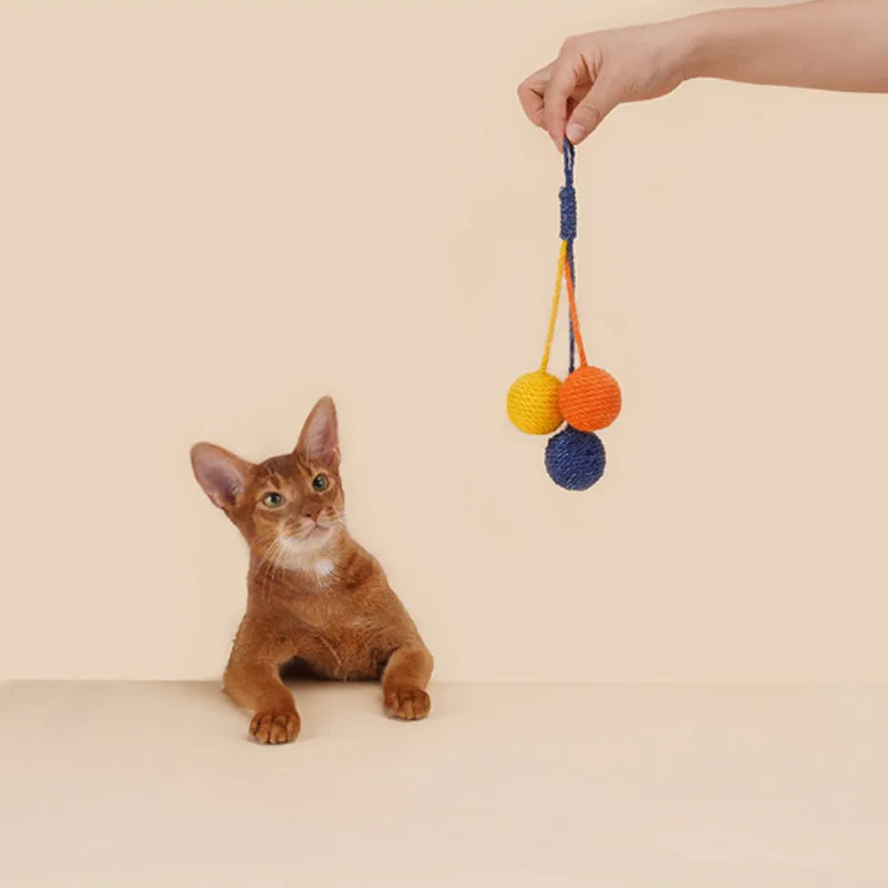 Cat toy set showing bite-resistant teaser wand and catnip ball in multiple colour variations