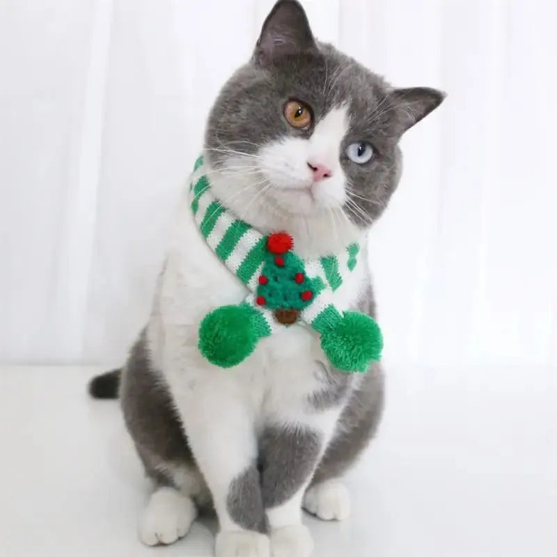 Green adjustable knitted scarf collar for a small dog on a white background