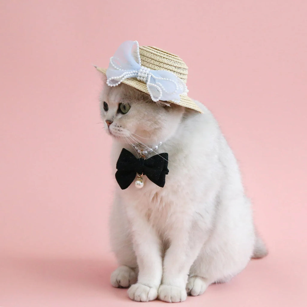 Cat wearing woven straw hat with pearl bow decoration in princess style