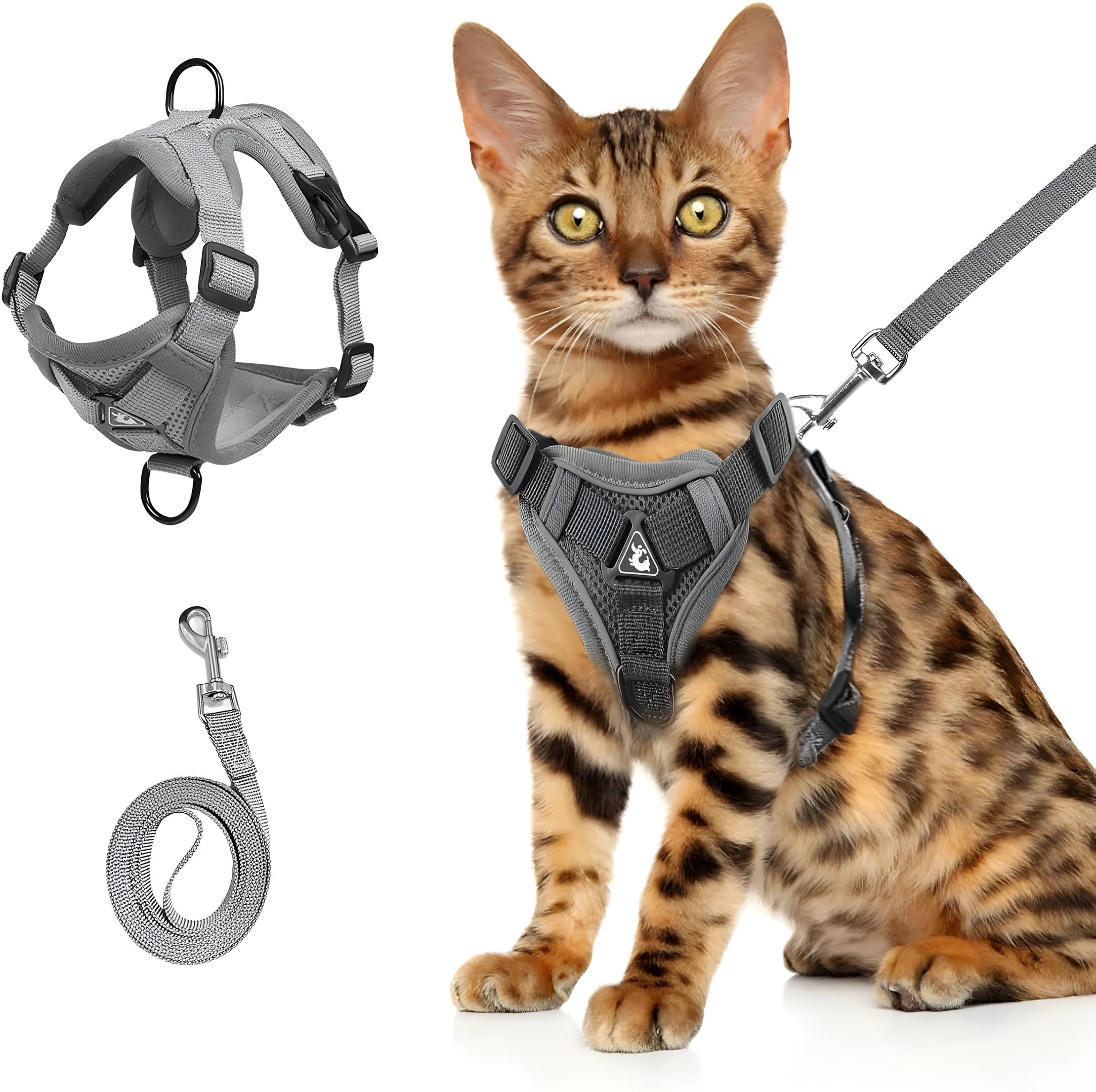 Blue adjustable mesh cat chest harness with leash and reflective strips