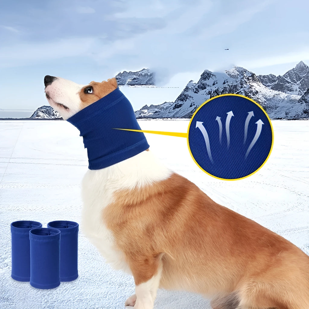 Blue or grey polyester dog headband scarf shown in small, medium, and large sizes.