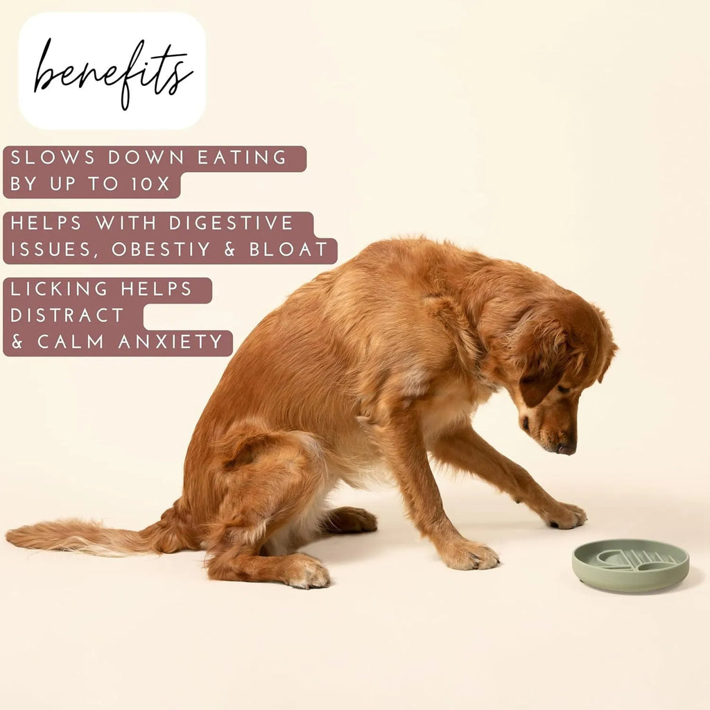 Silicone slow feeder dog bowl with textured ridges, shown in beige colour on a wooden surface.