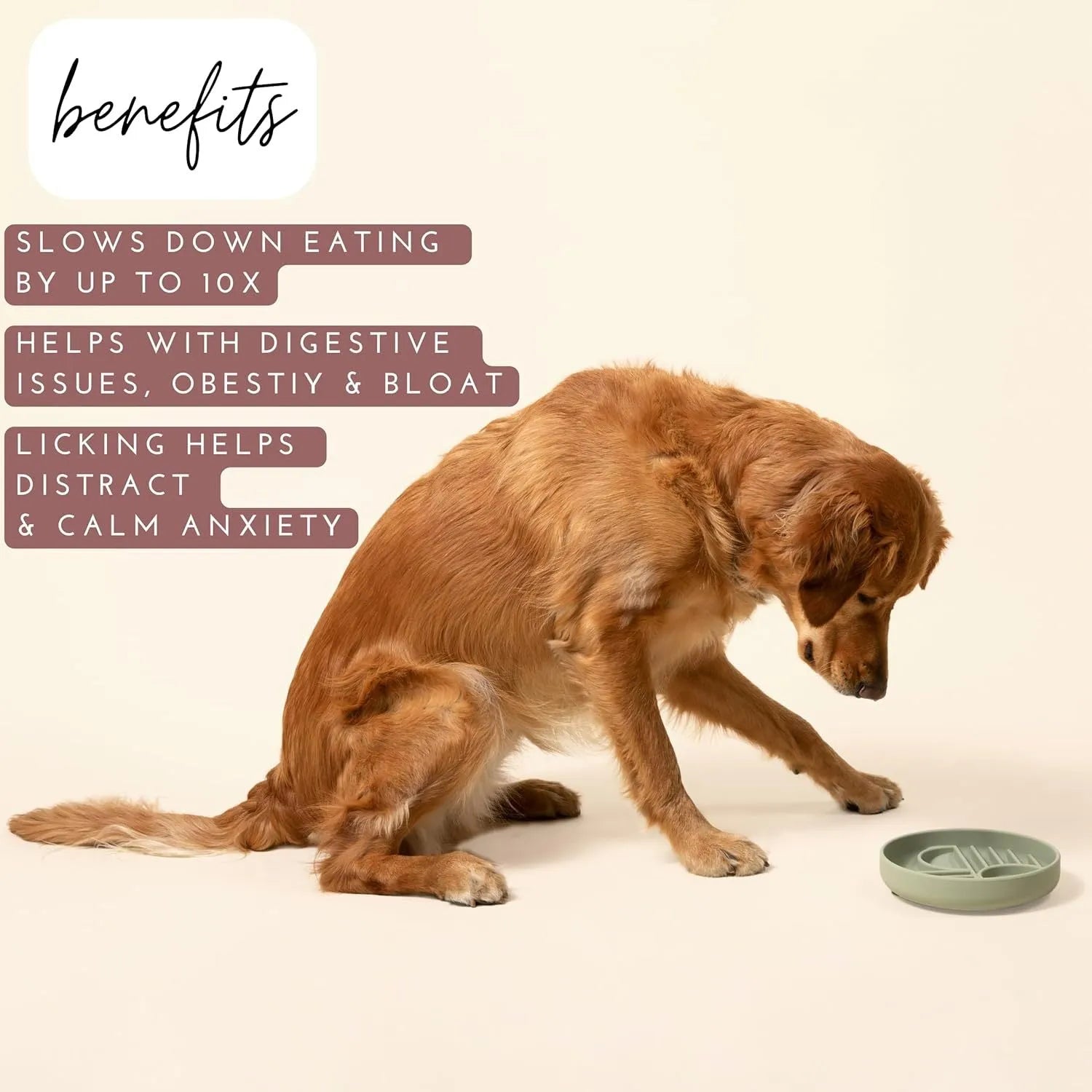 Silicone slow feeder dog bowl with textured ridges, shown in beige colour on a wooden surface.
