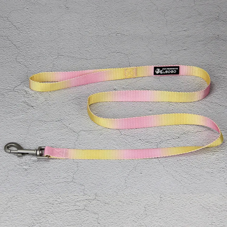 Nylon dog leash set showing gradient colour options including pink blue yellow purple green patterns