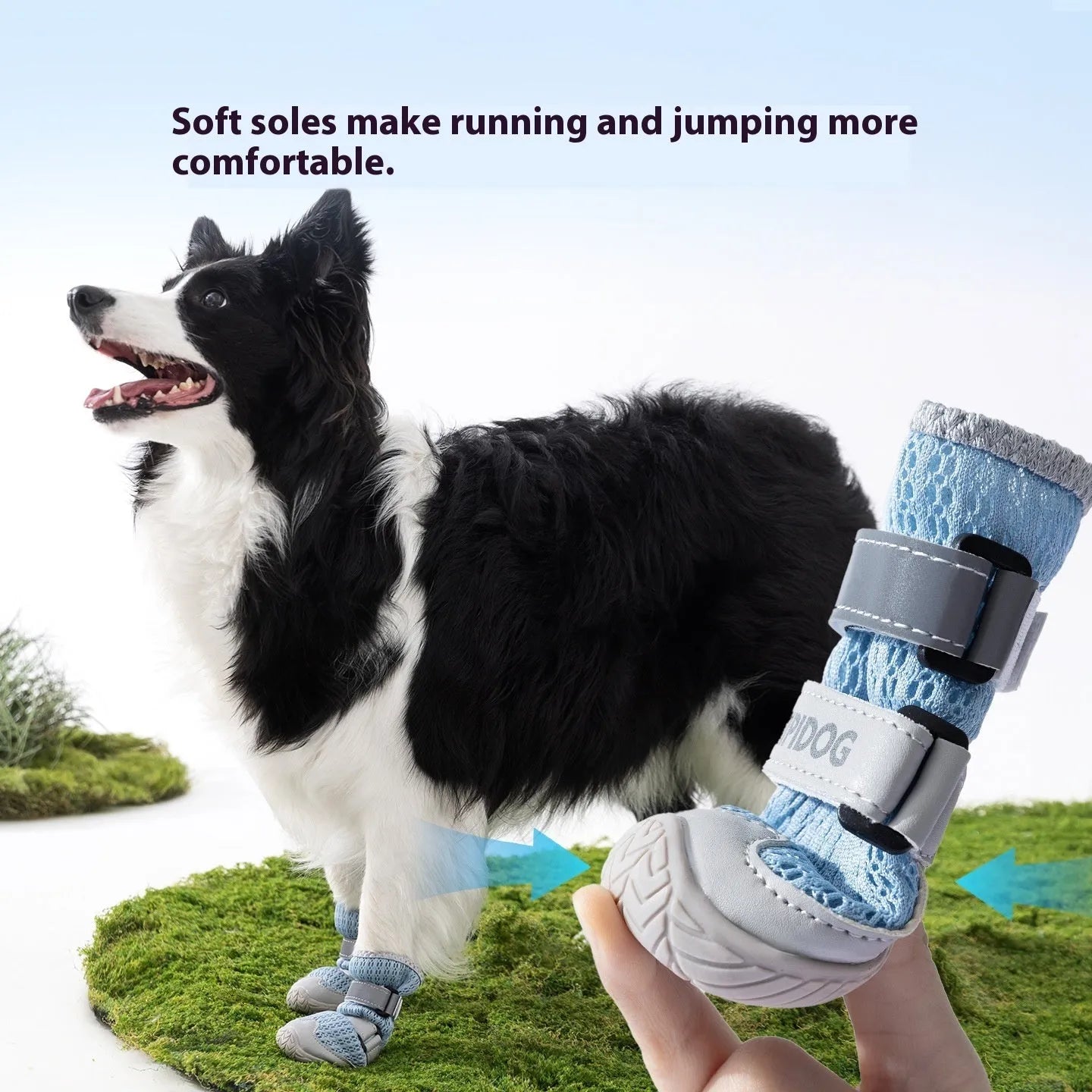 Pair of blue cartoon-style dog shoes with a wear-resistant sole for summer pavement protection.