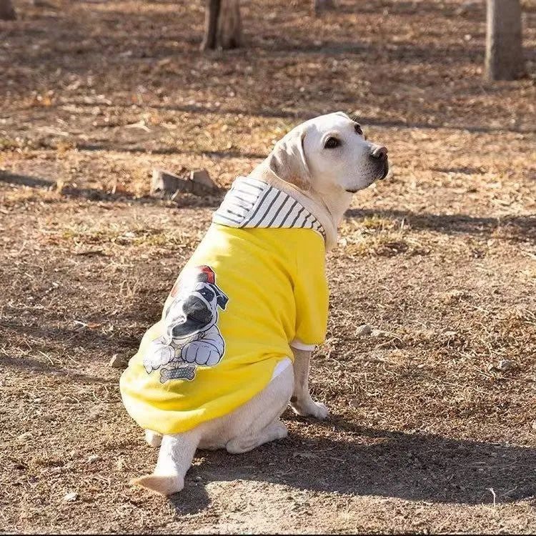 Dog wearing a polyester two-legged sweatshirt in blue, with back length and chest size measurements visible.