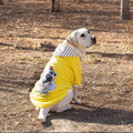 Dog wearing a polyester two-legged sweatshirt in blue, with back length and chest size measurements visible.