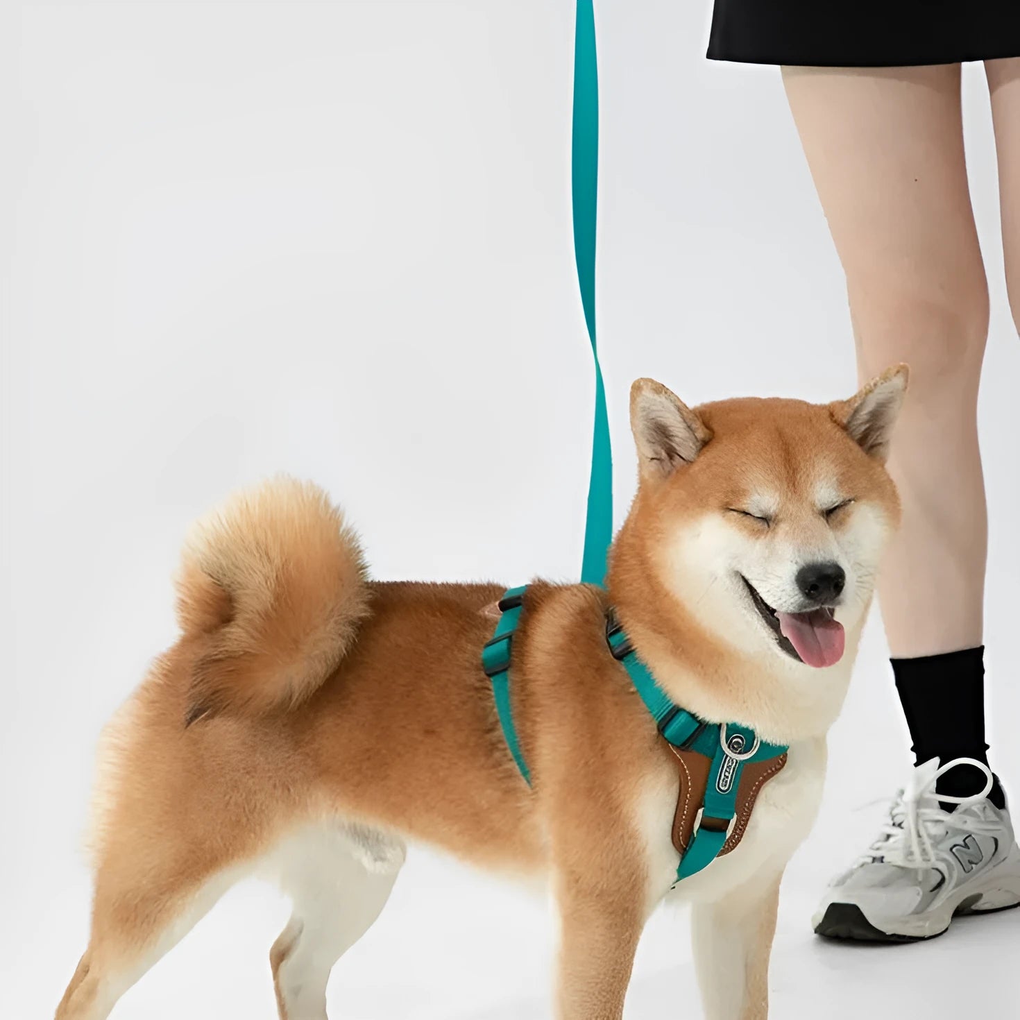 Multifunctional dog rope leash and chest strap set in cardamom red with double-pull connections, imported nylon and Napa PVC leather.