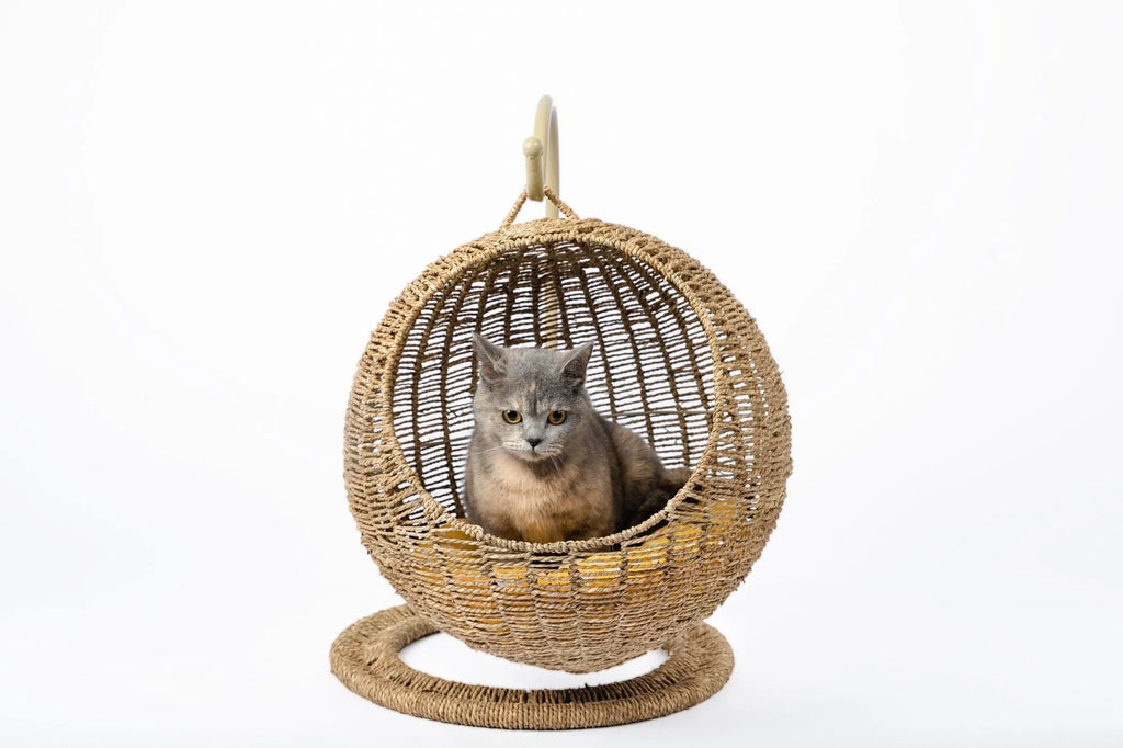 Woven round hanging cat bed with rattan wood lining, 45cm height, shown in small and large sizes