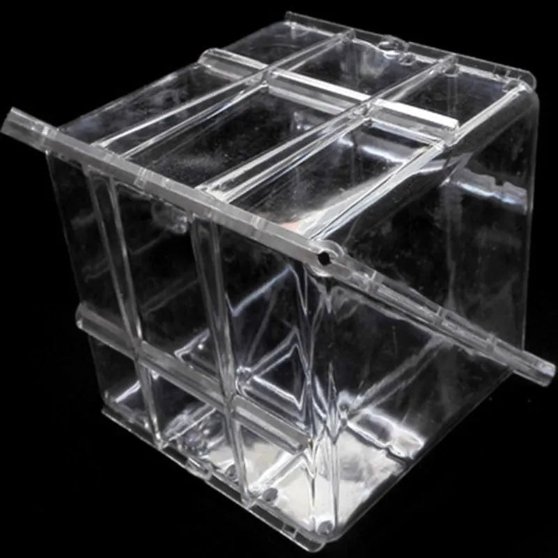 Square plastic growth mould for shaping watermelons and fruit to 13cm dimensions.