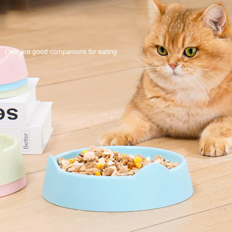 Ceramic dog slow feeder bowl with maze design in blue colour for controlling fast eating