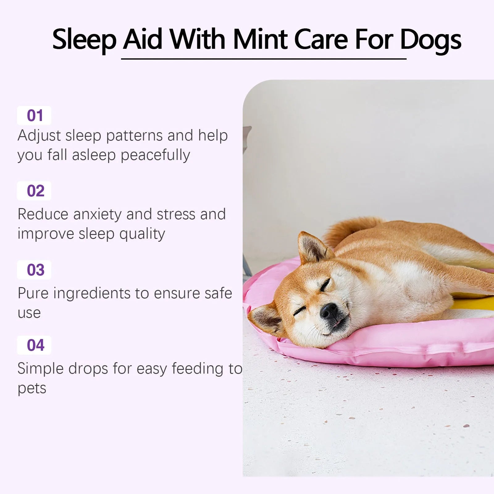 60ml bottle of dog sleep drops with mint extract for canine nighttime relaxation care