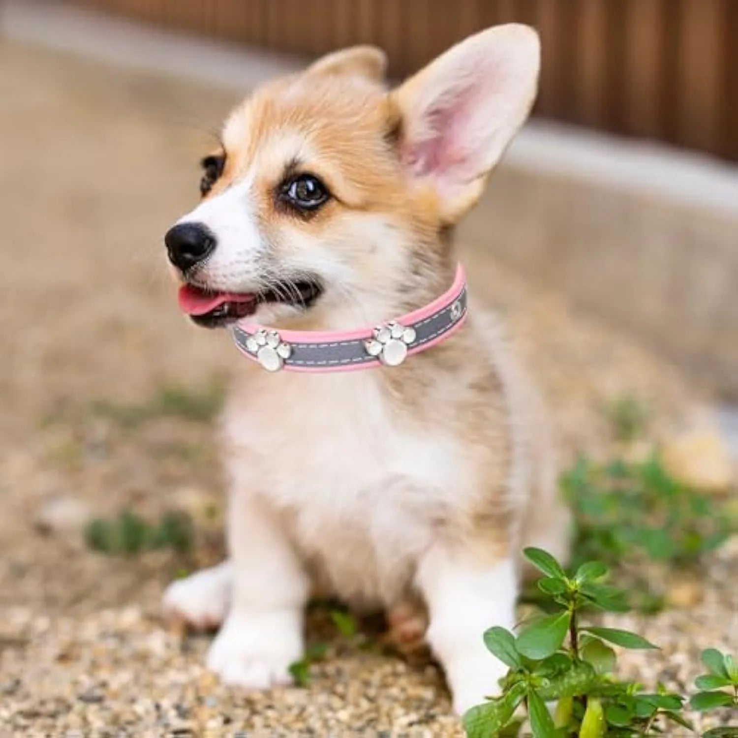 Adjustable PU leather dog collar with reflective stitching and a metal paw-shaped rivet.