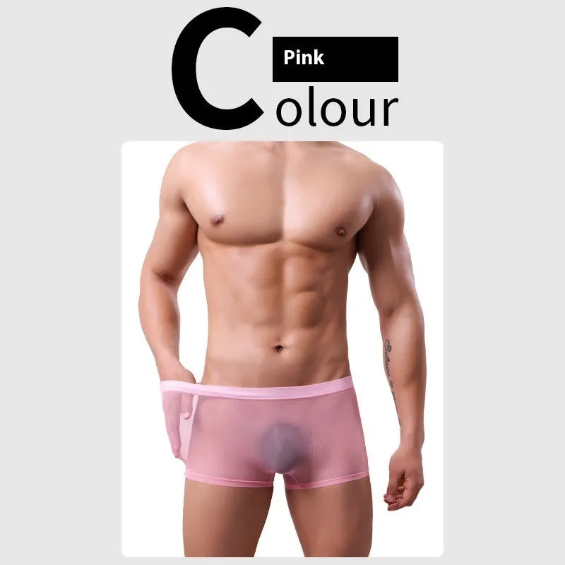 Men's mesh boxer briefs in sheer polyester fabric showing low waist design