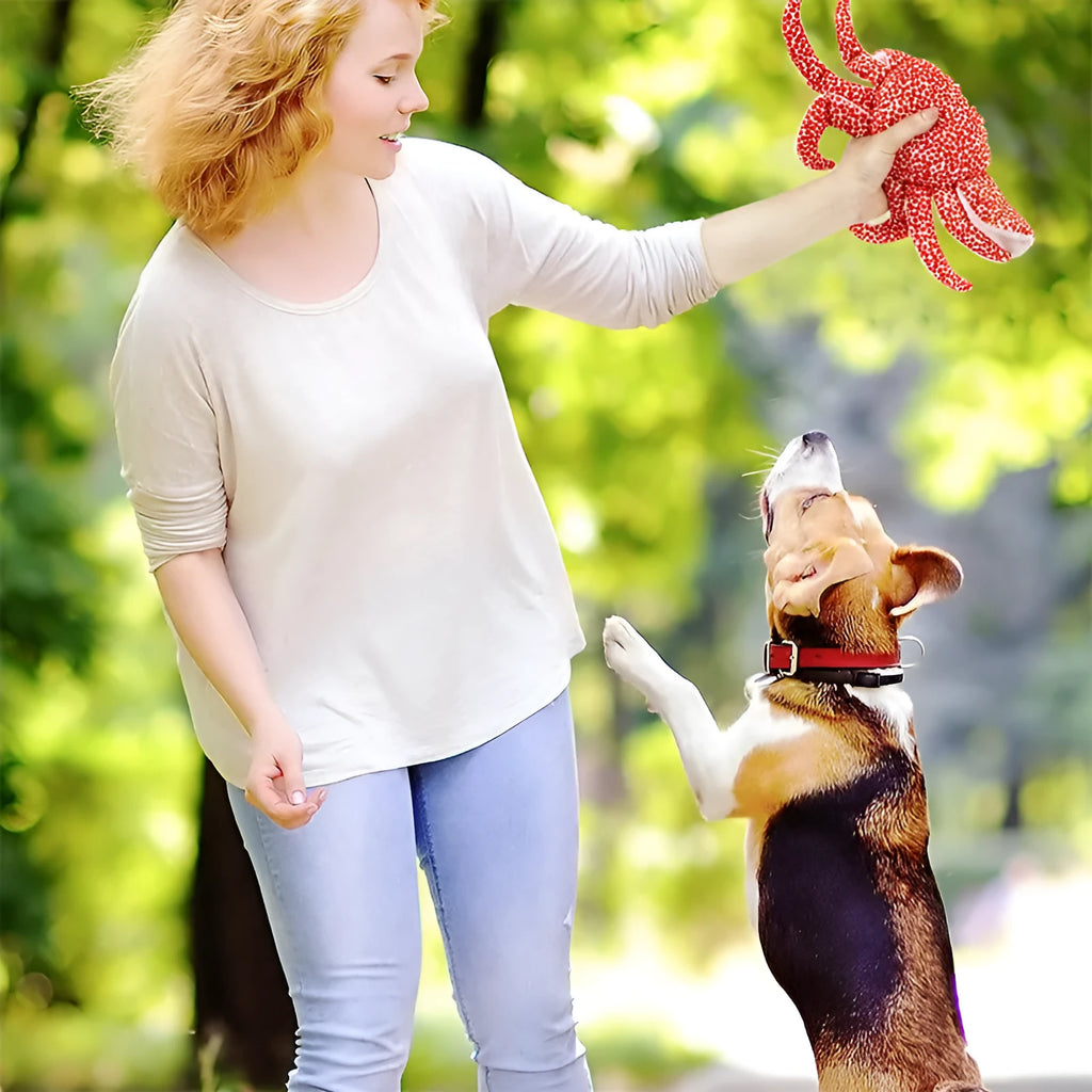 Plush squeaky pet toy in King Crab colour for interactive play with dogs and cats