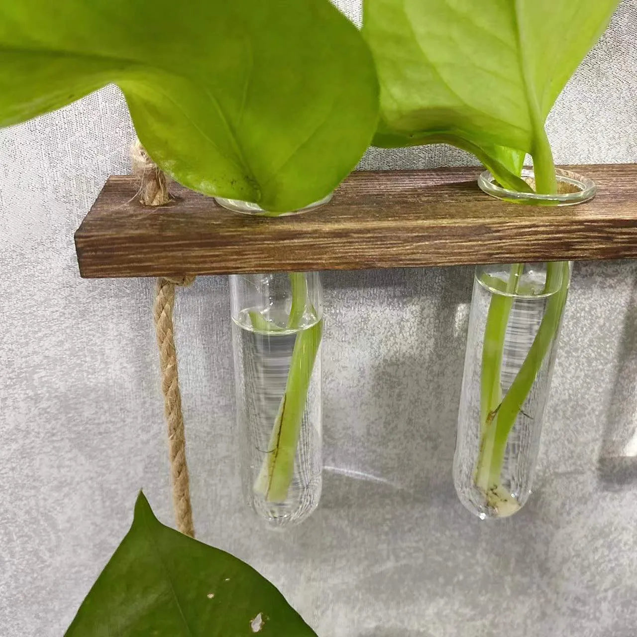Three-layer 15-tube hydroponic wall hanging vase in retro colour with borosilicate glass and wooden frame