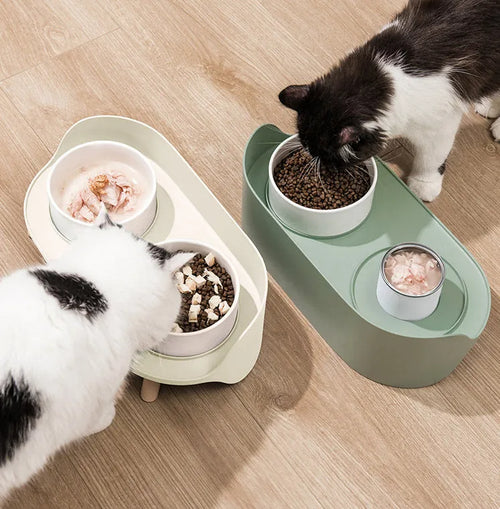 Green adjustable tilted double pet food bowl with spill-proof edges for cat and dog feeding