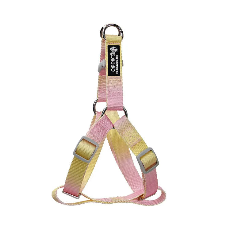 Nylon dog leash set showing gradient colour options including pink blue yellow purple green patterns