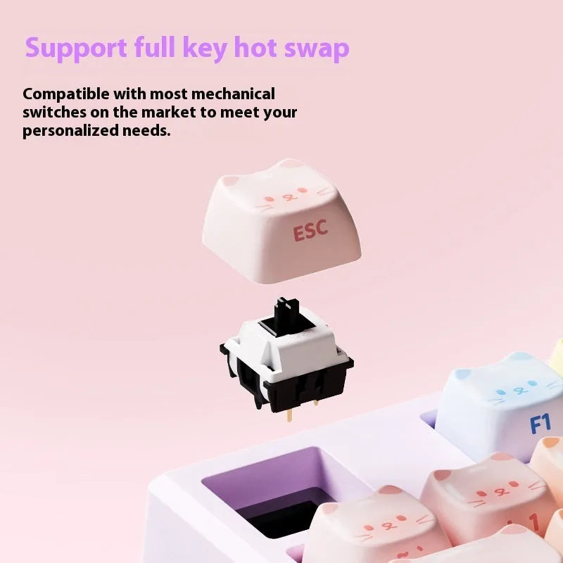 MG108B coloured candy cat mechanical keyboard with Bluetooth connectivity on desk