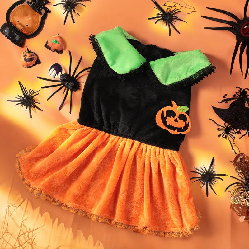 Small dog wearing a crystal velvet Halloween pumpkin skirt costume next to a Halloween sweater pet outfit.