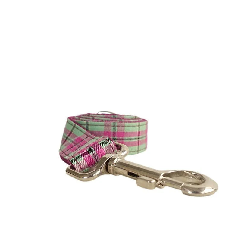 Mint green polyester dog collar and leash set shown together as matching walking accessories