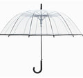 Transparent umbrella with long handle showing 16 rib construction and large canopy