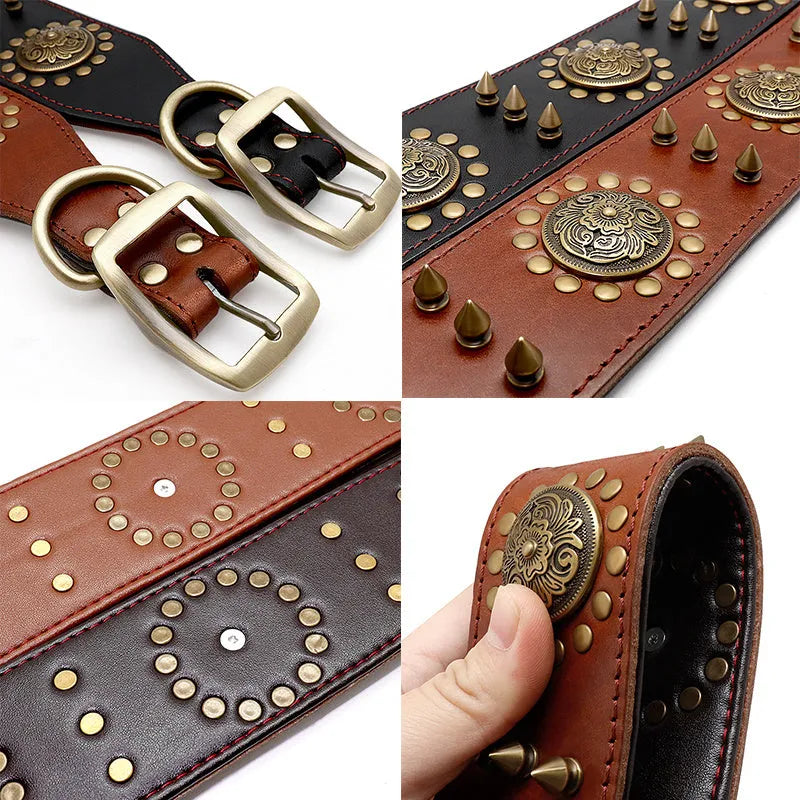 Brown real leather stud dog collar with metal anti-bite spikes fitted on a large pitbull dog