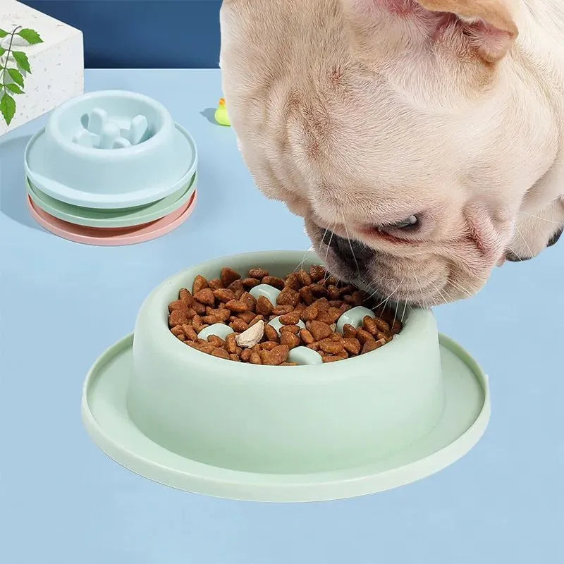 PP slow feeder pet bowl with raised partitions in blue colour showing non-slide base mats