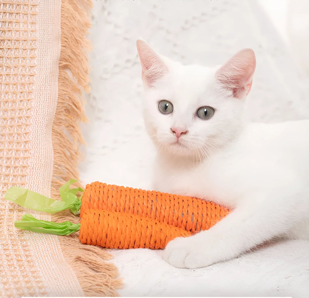 Cat toy set with carrot-shaped paper bites, ringing stones, and grinding sticks on soft surface