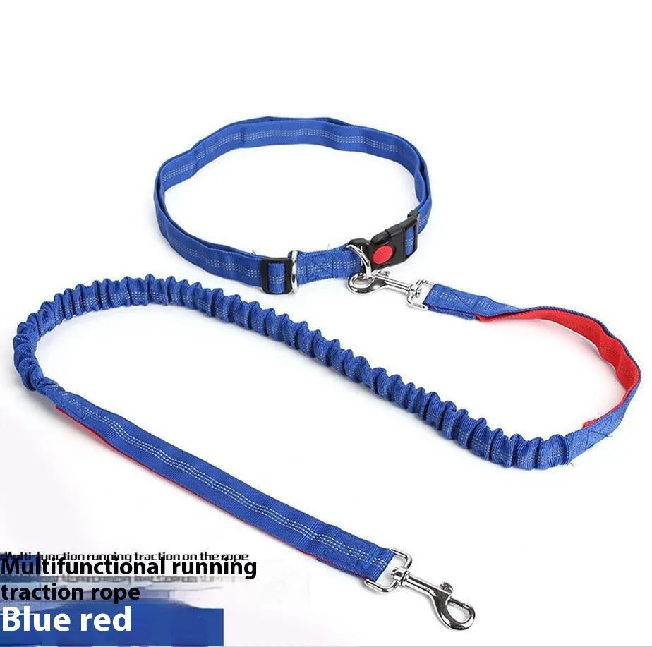 Reflective elastic dog leash in two-tone colours with 2.5cm width nylon construction