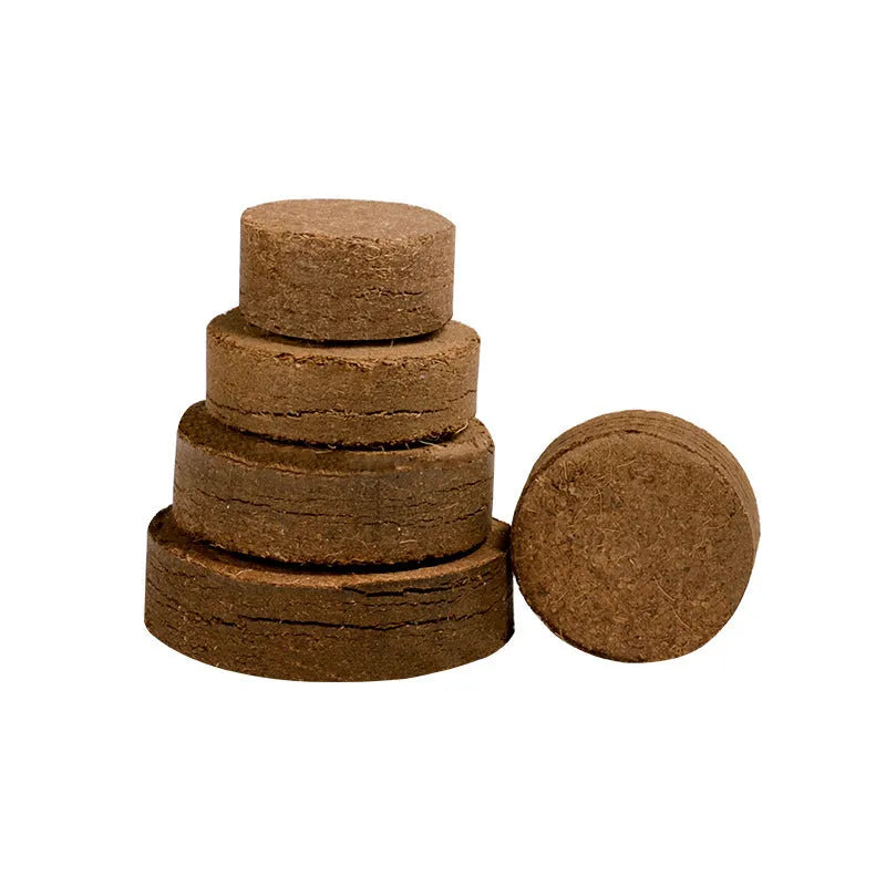 Assorted sizes of dry, round, brown compressed nutrient soil blocks for vegetable planting and seedlings.