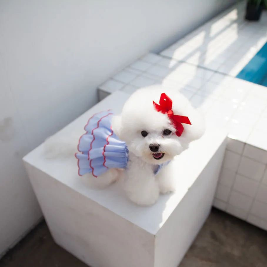 Summer thin polyester pet princess dress with cartoon print in suspender skirt style