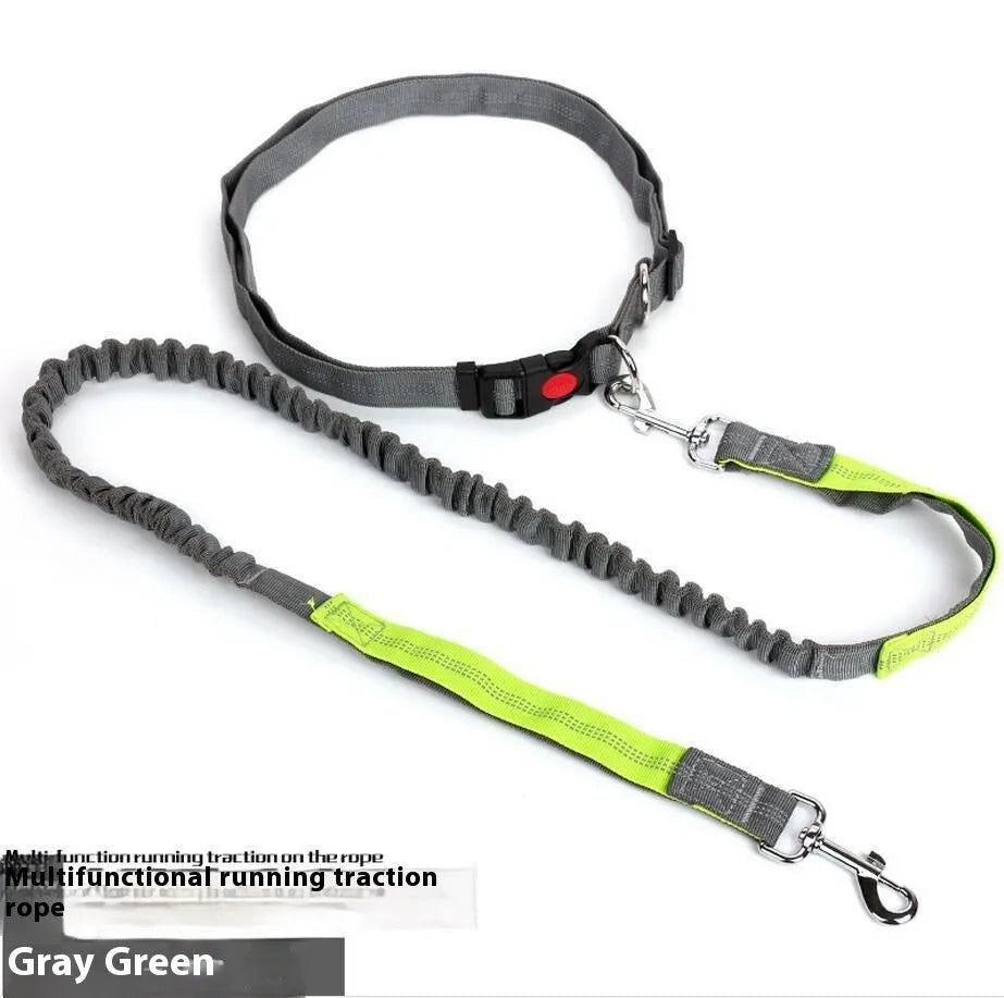 Grey and blue nylon dog leash with reflective filament and 2.5cm width.