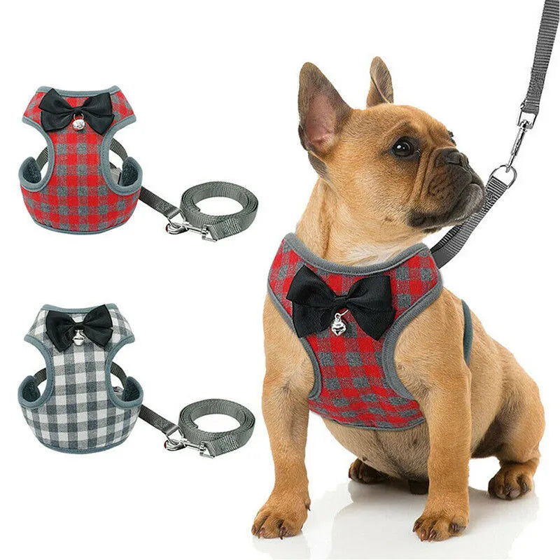 Grey cloth dog leash and chest strap set with adjustable buckle on white background