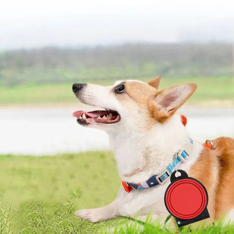 Blue folding silicone double pet bowl for dogs and cats, shown both open and collapsed flat