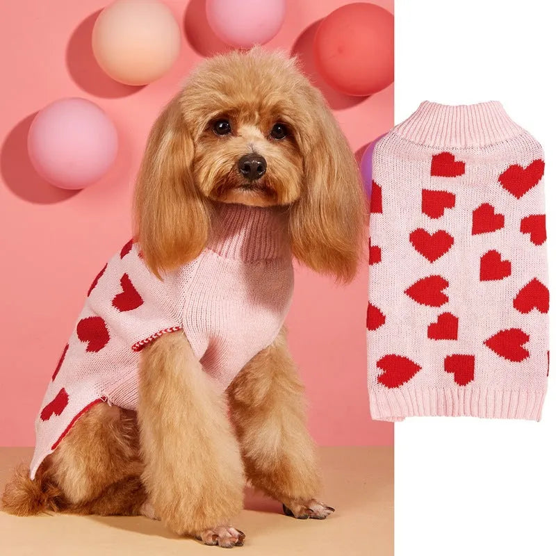 Red love heart design dog sweater on small dog showing acrylic knit and decorative motifs