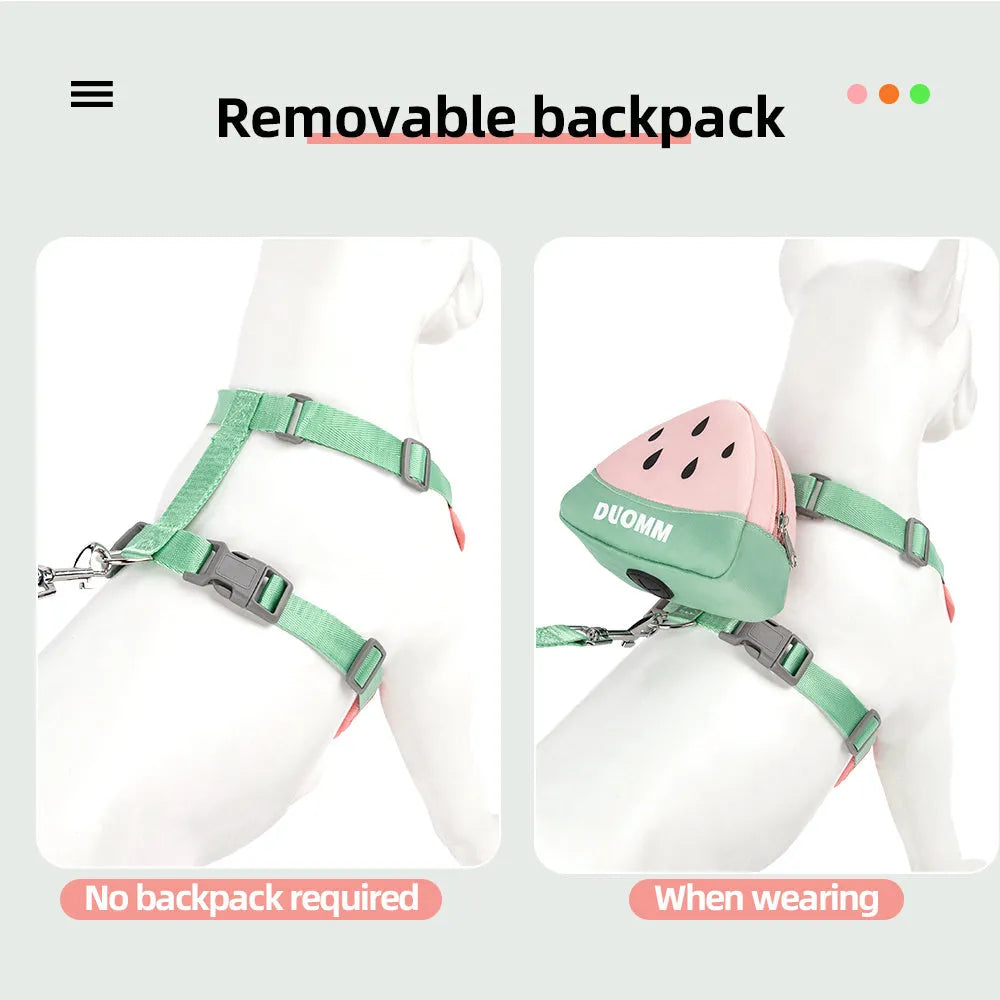Fruit-themed pet backpack and matching chest strap set for dogs and cats in green colour