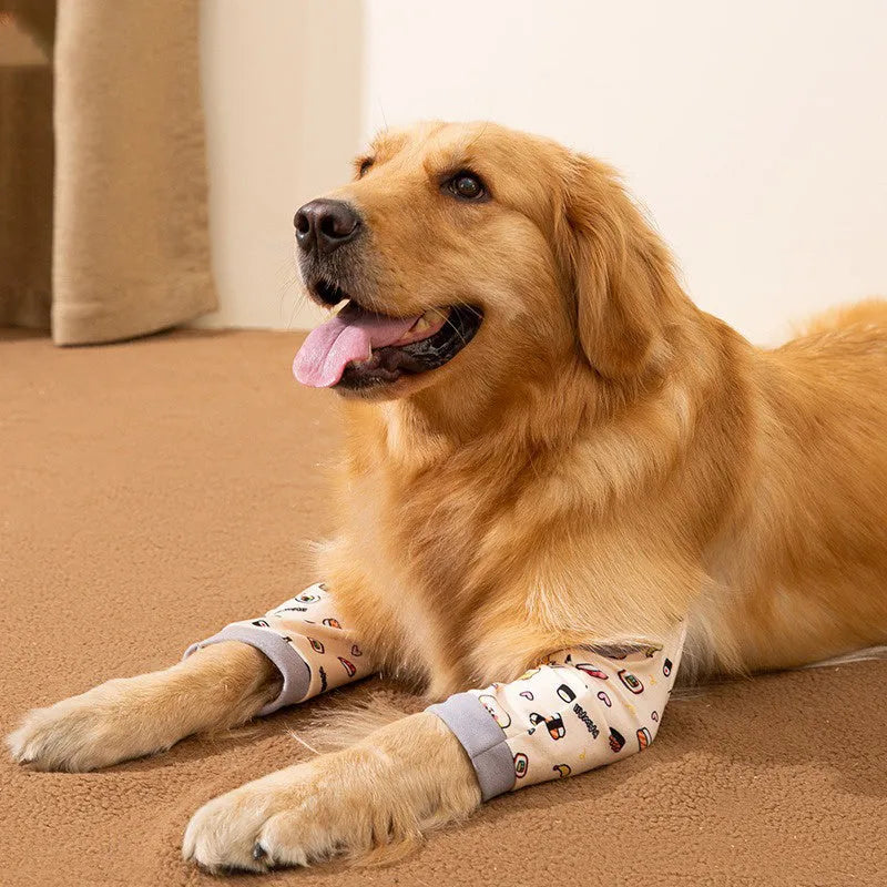 Dog wearing blue knee protector pad with elbow padding and matching scarf with doggie print pattern