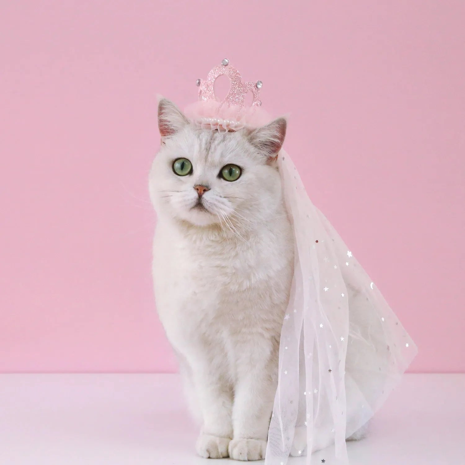 Cat wearing princess crown headdress with veil for wedding or birthday celebration
