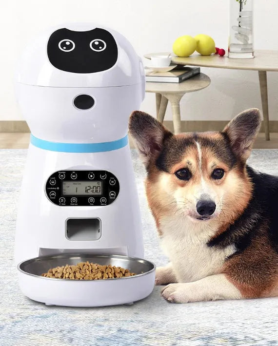 White automatic pet feeder with removable grain barrel, metal food tray, and 4-meal daily scheduling for 5mm-12mm dry food.