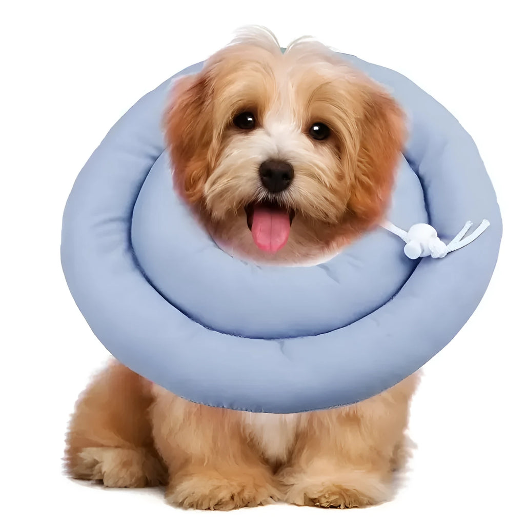 Blue adjustable waterproof Elizabethan collar for a dog showing the buckle and cone shape