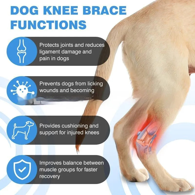 Black adjustable polyester pet leg guard for joint support and injury protection.