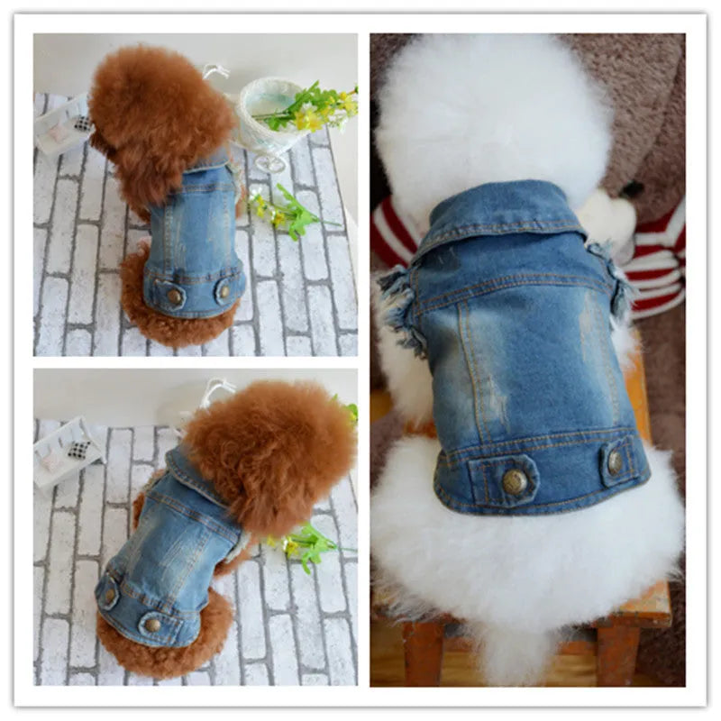 Denim dog vest with retro scratch pattern in dark and light colours for autumn winter wear