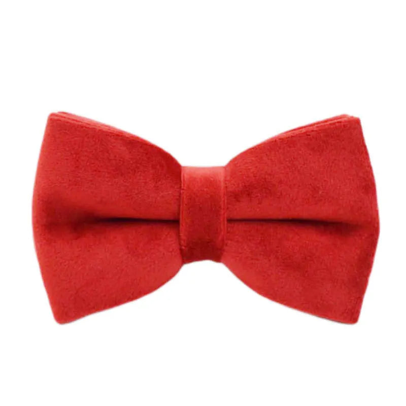 Soft cloth dog collar and leash set with matching vest, red bow tie, and included poop bag on a white background.
