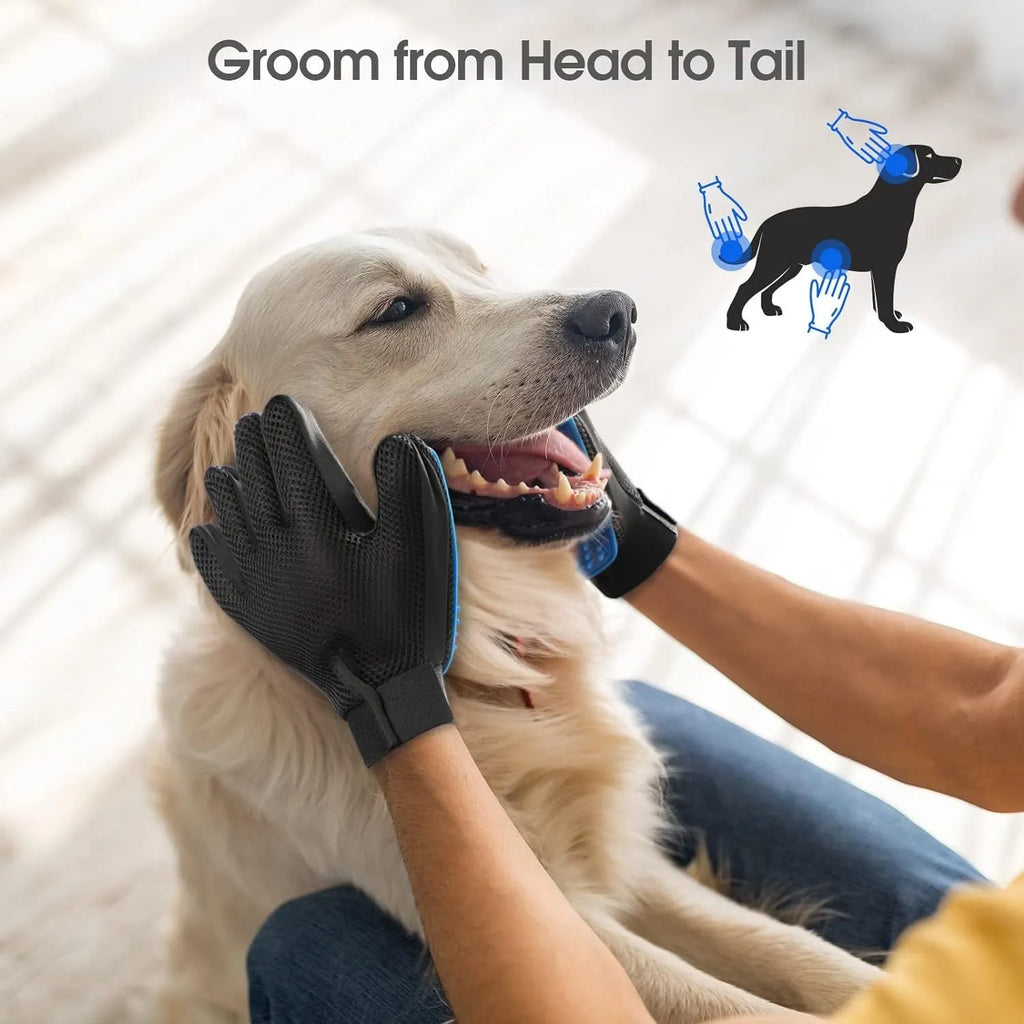 Blue pet grooming gloves with silicone grooming tips for dogs and cats